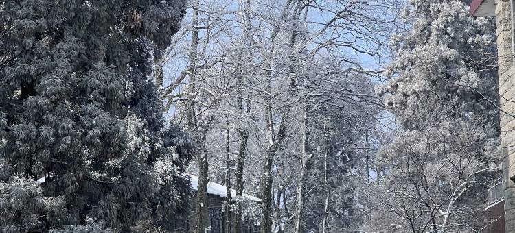 庐山荣誉香山苑酒店(牯岭街店)图片