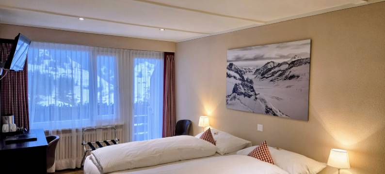 伯尔尼霍夫酒店(Hotel Bernerhof Grindelwald)图片