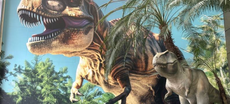 海湾假日酒店图片