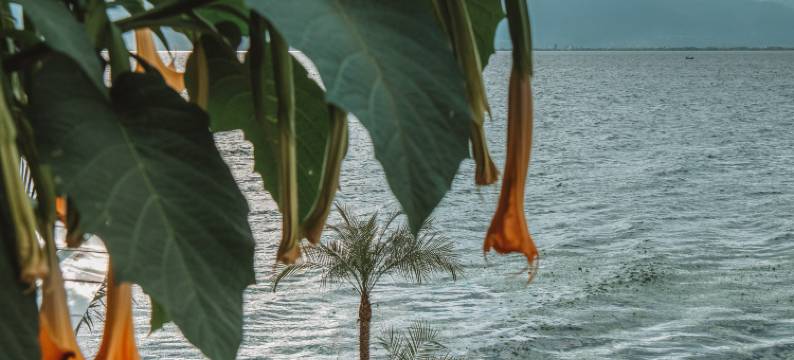 大理玉鹿庭·宁芙海宿图片