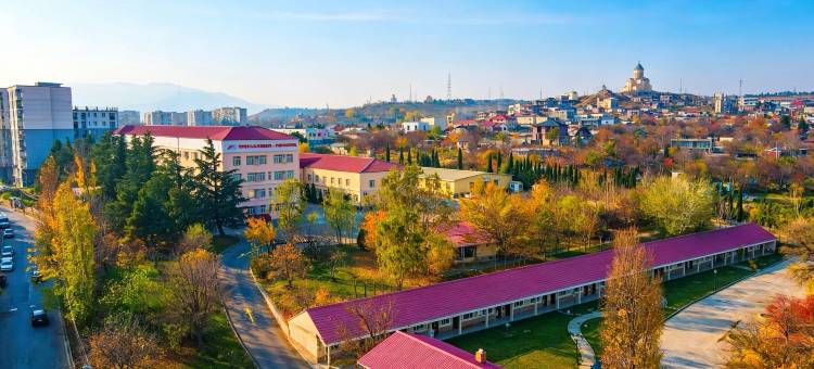 第比利斯富德酒店(Hotel Fude Tbilisi)图片