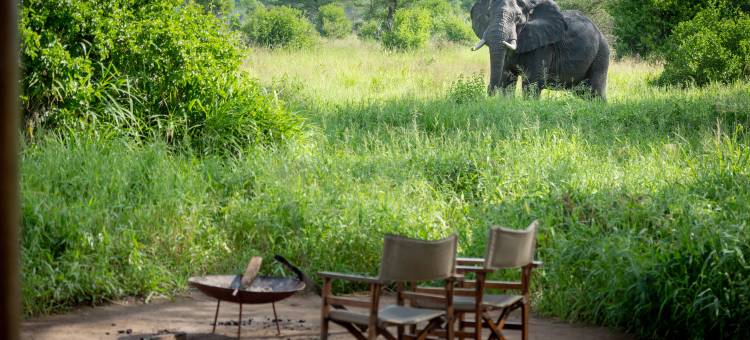 猢狲树帐篷露营酒店(Baobab Tented Camp)图片