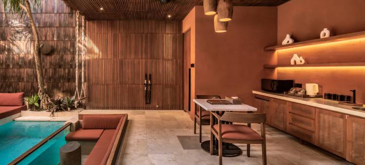 水明漾沙纳薇别墅酒店 - 伊妮薇款待酒店(Sana VIE Villa Seminyak by Ini VIE Hospitality)图片