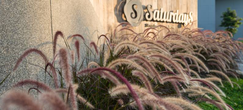 布朗椋鸟周六公寓(Saturdays Residence by Brown Starling)图片