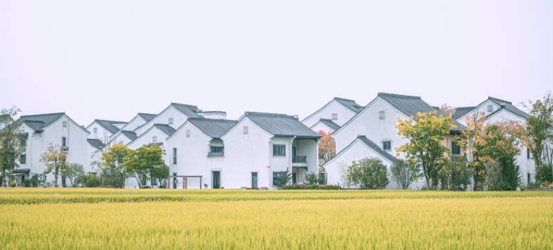 安吉云隐·伍里稻香民宿图片