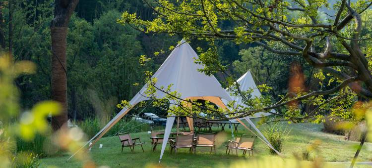 安吉竹仙湖君澜庄园·汤泉酒店图片