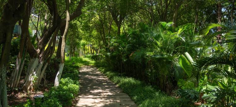 厦门隐居·六合栖公馆图片