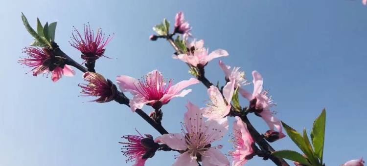 如家派柏·云酒店(宁波北仑新大路店)图片