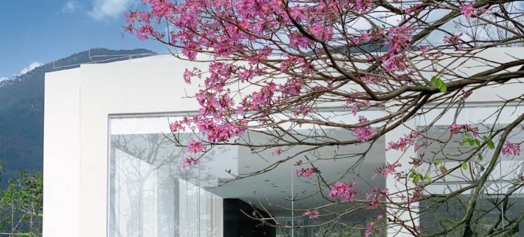 清远泉现温泉民宿图片