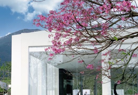 Spring HomestayOver view