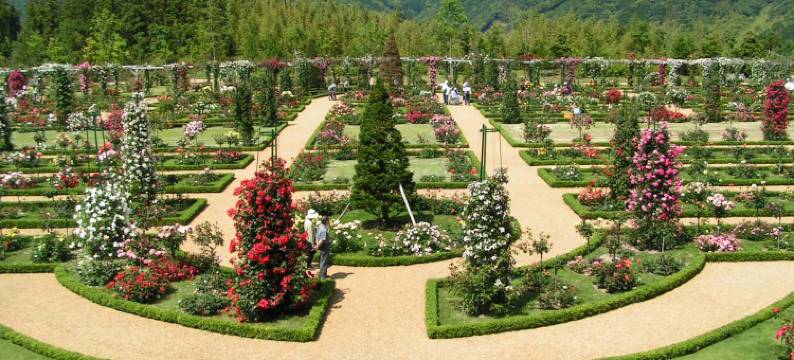 热川馆(Atagawakan)图片