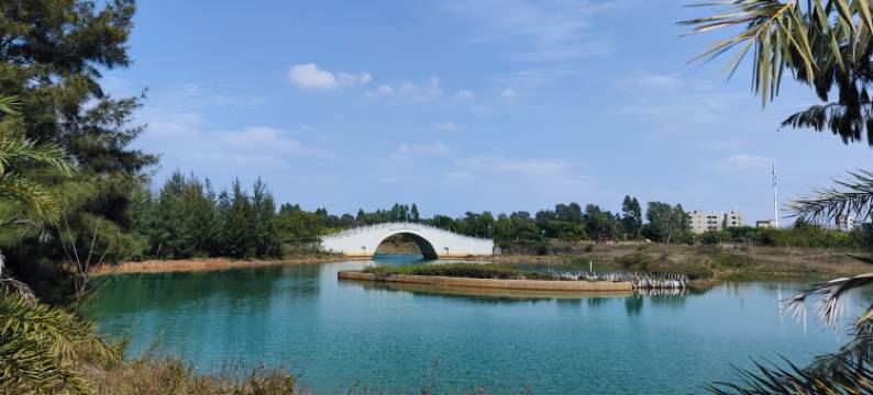 湛江特呈岛小岛民宿图片