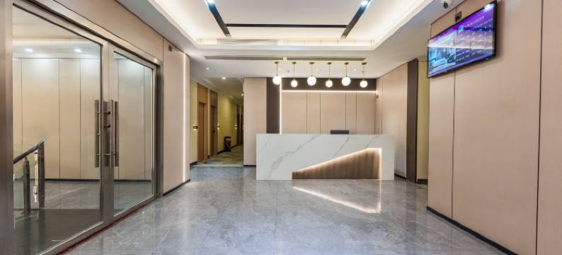 铂纳斯酒店(深圳盐田地铁站店)图片