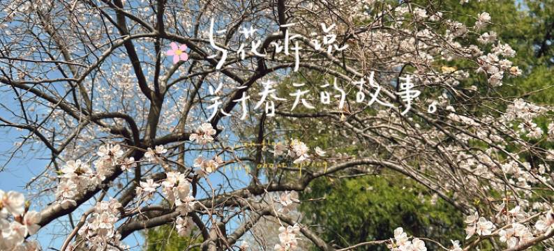 如家商旅酒店(北京北海公园北大医院店)图片