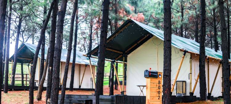 半汤·泉栖谷营地乐园图片