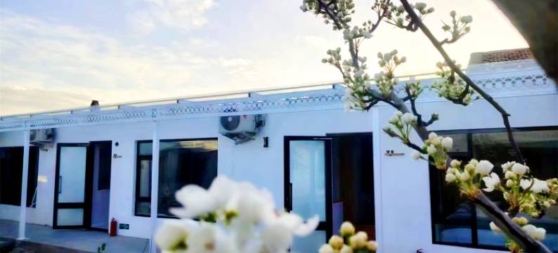 特克斯青屿木民宿(特克斯八卦城离街店)图片