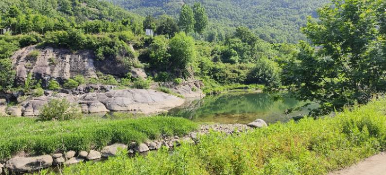流芳雅居民宿图片