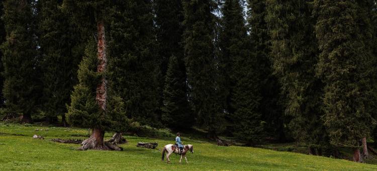 达根斯喀峰牧场图片