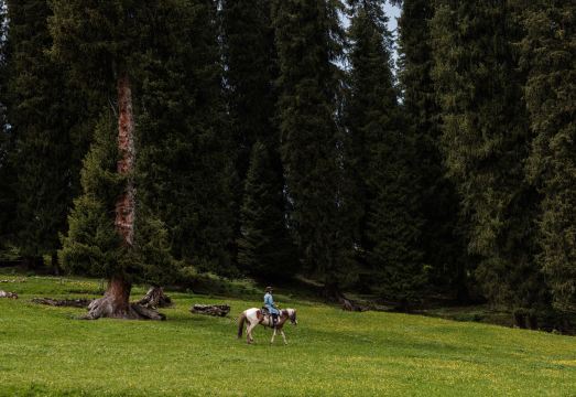 达根斯喀峯牧场外景图