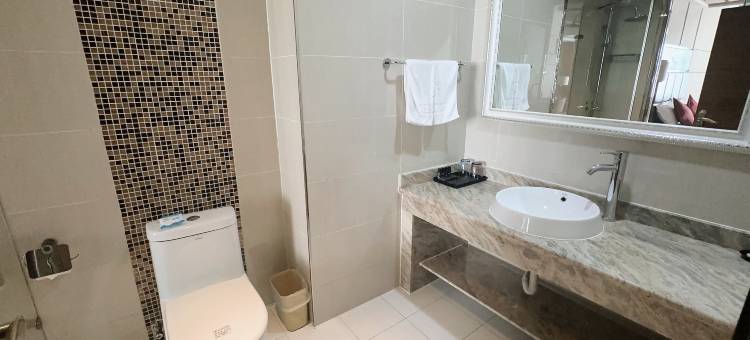 凯文国际商务酒店(阜新南站店)图片