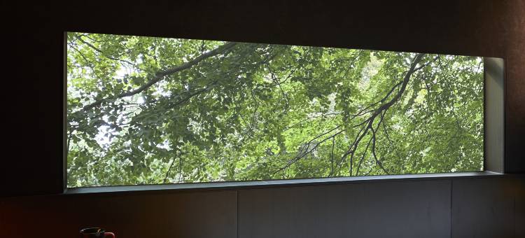 dìlì玓𬍛酒店(廊坊新朝阳购物中心北华航天大学店)图片