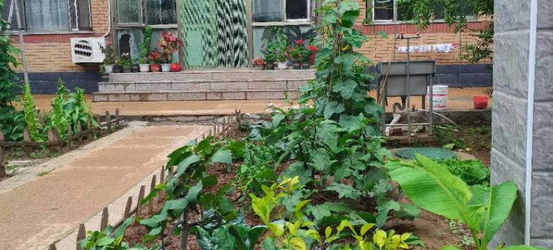 北京延庆远方乐农家院图片