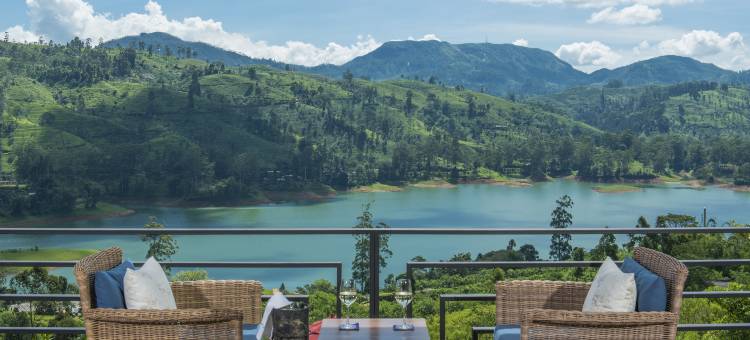 茶花山(Camellia Hills)图片