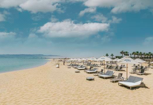 Tanoak Hotel Hotel Overview