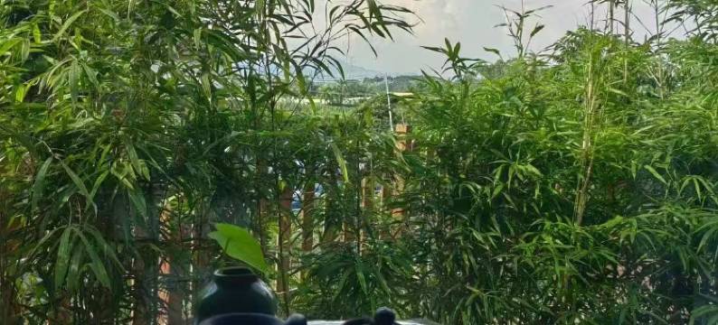 博罗祥麟云舍民宿图片