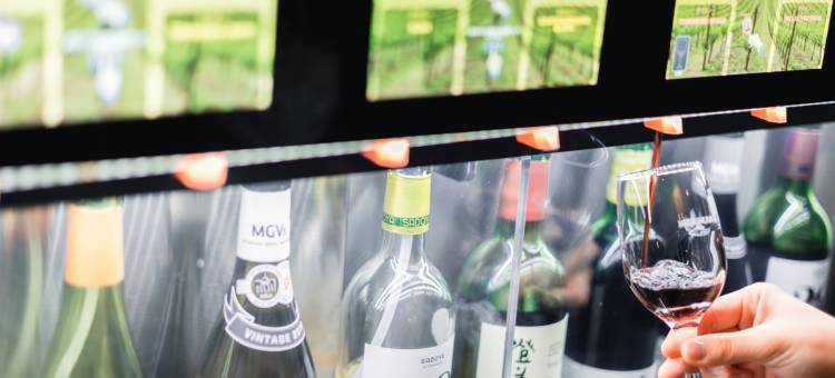 拉维斯塔富士河口湖度假村(La Vista Fujikawaguchiko)图片