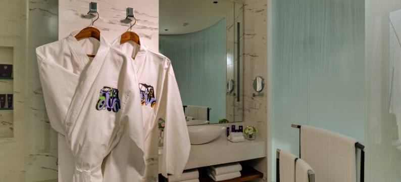 斯里兰卡梦想之城-辛纳蒙乐富大酒店(Cinnamon Life at City of Dreams)图片