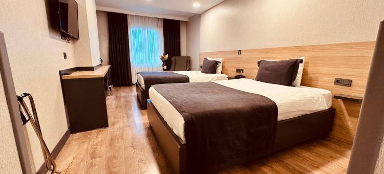 塔克西姆绿园酒店(The Green Park Taksim)图片