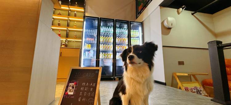 铃芽之旅·青年旅舍(贵阳北站店)图片