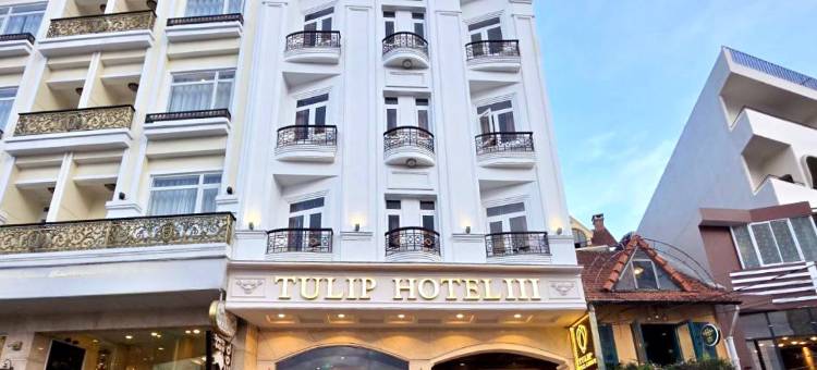 郁金香3号酒店(Tulip Hotel 3)图片