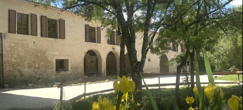 塞利纳图拉(Celinatura)图片