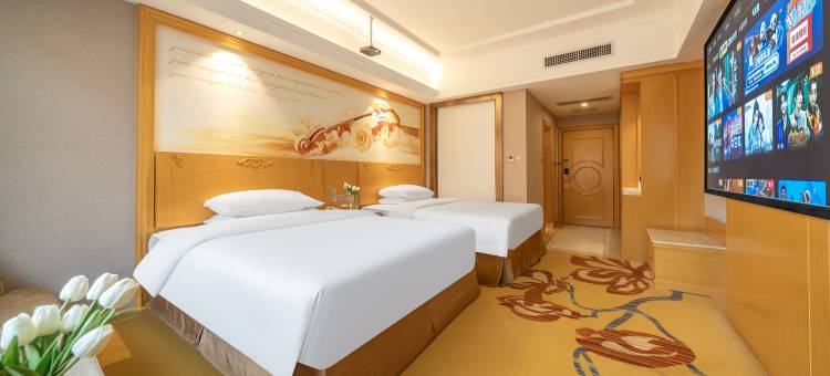 维也纳酒店(防城港防城店)图片