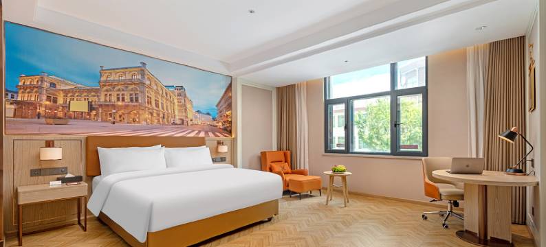 维也纳酒店(江孜宗山古堡店)图片