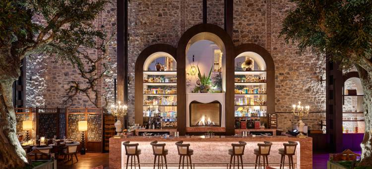 伊斯坦布尔Aliée酒店-巴黎社交系列酒店(Aliée Istanbul - A Paris Society Collection Hotel)图片