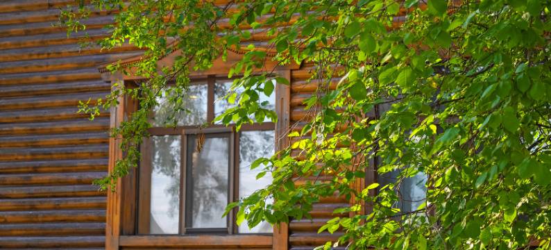 根河美林山悦酒店图片