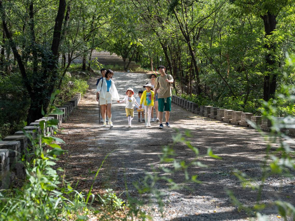 长城脚下的公社图片