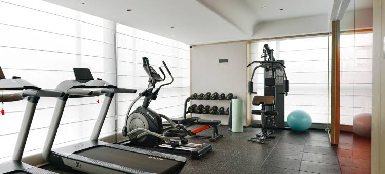 广州白云站新市墟地铁站骑士物语酒店图片