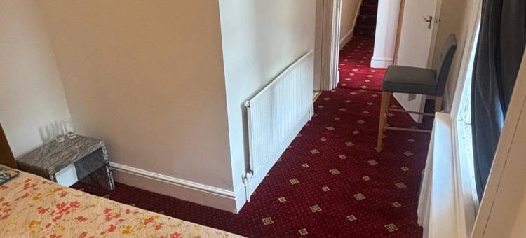 金星酒店(Golden Star Hotel)图片