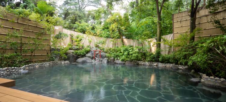 雾岛脉动(THE PULSE KIRISHIMA)图片