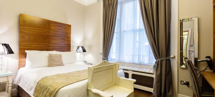 伦敦阿罗斯法康帕斯酒店(Arosfa Hotel London by Compass Hospitality)图片