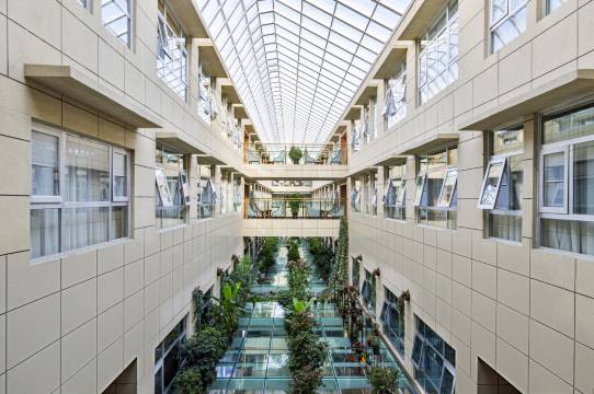 拉萨布达拉宫吉彩国际酒店(八廓街店)图片