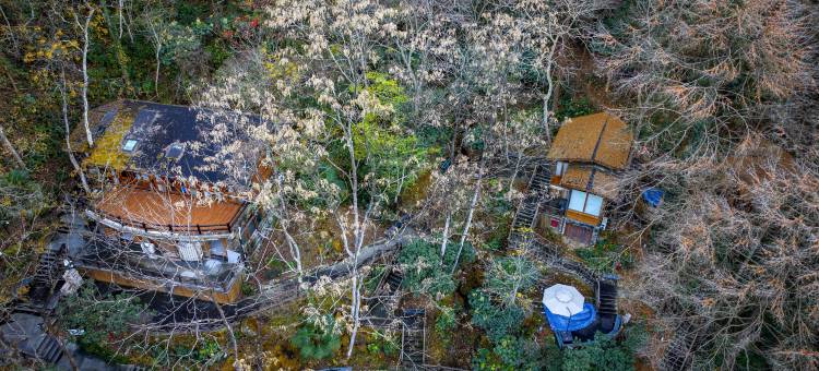 宁海森林温泉度假村图片