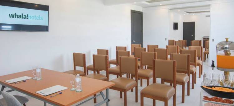 华拉城市蓬塔卡纳酒店(whala!urban Punta Cana)图片