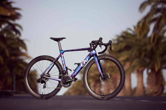 东莞松山湖帝豪花园酒店图片