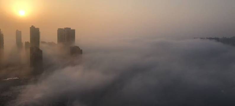 柏瑞斯国际酒店图片