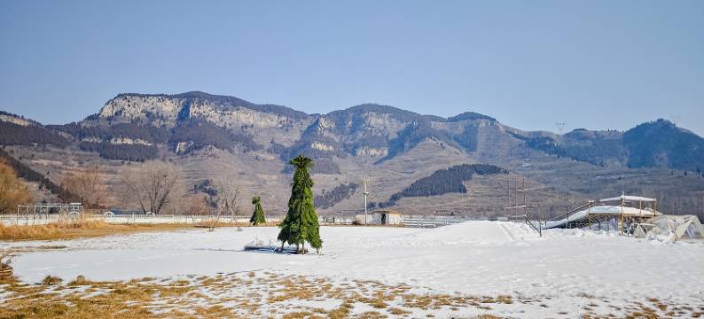 花筑·有风coffee 林境美学民宿图片